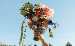 Best Summer Wedding Flowers to Make Your Day Extra Special