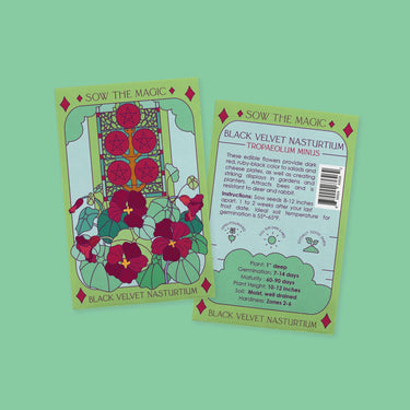 Black Velvet Nasturtium Tarot Garden + Gift Seed Packet