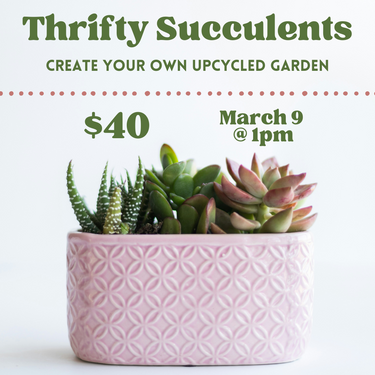 WORKSHOP-Thrifty Succulents: Create Your Own Succulent Garden